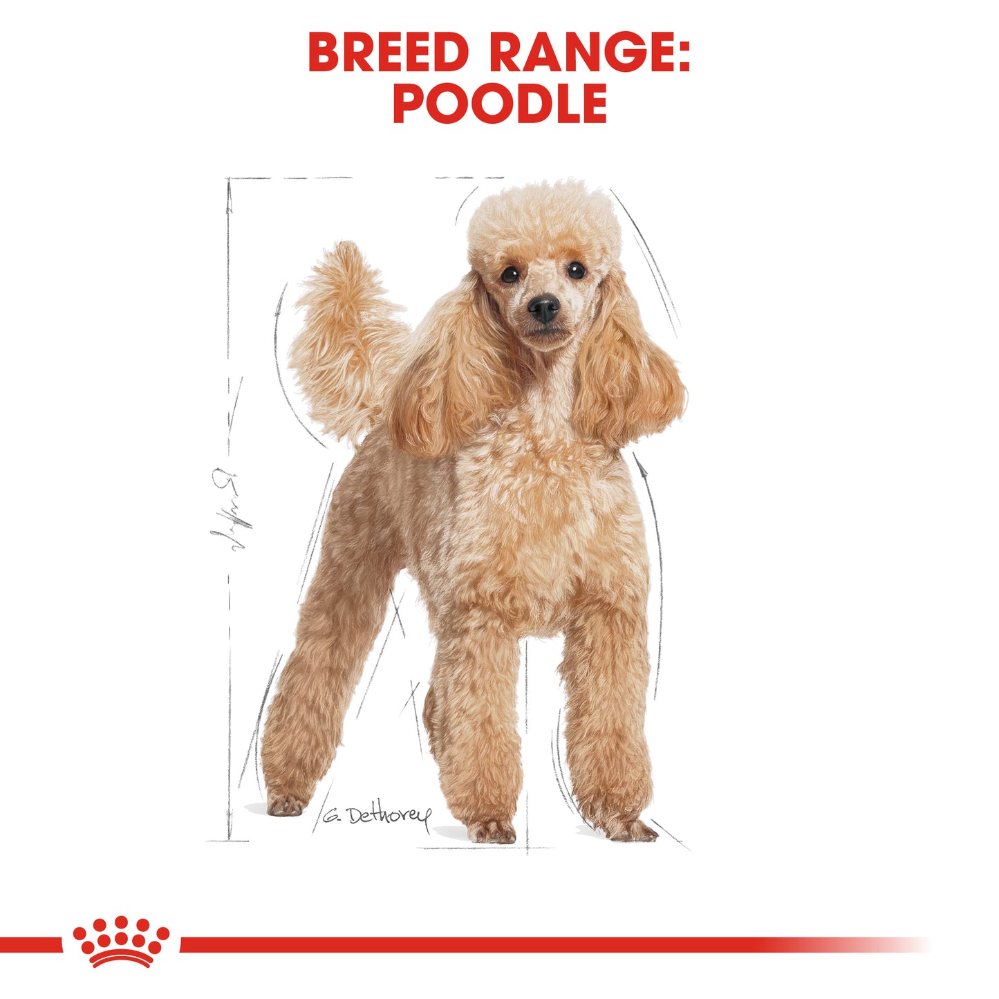 Royal Canin Canine Breed Poodle Adult 1.5kg
