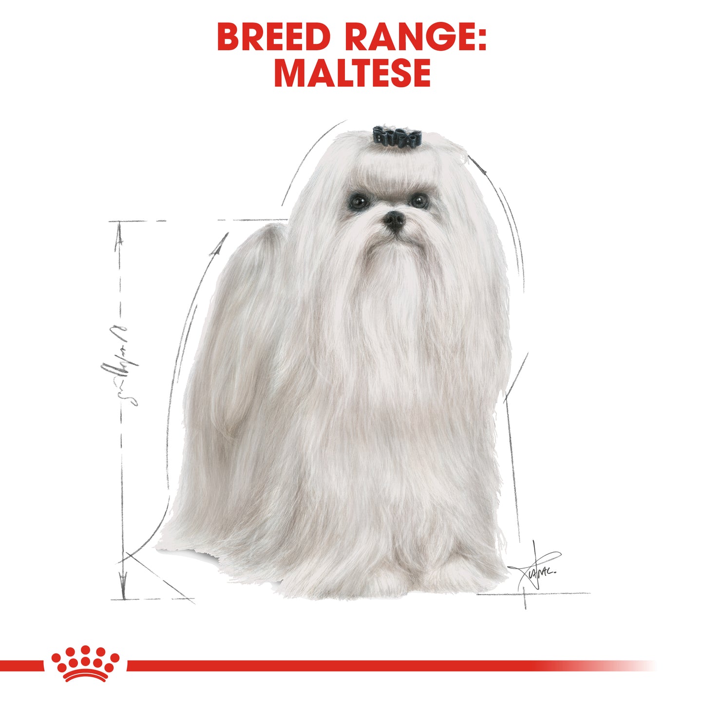 Royal Canin Canine Breed Maltese Adult 1.5kg