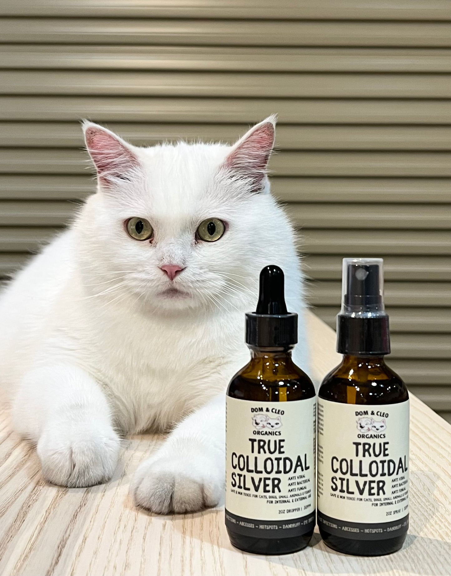 Dom & Cleo Colloidal Silver Dropper For All Pets 2oz