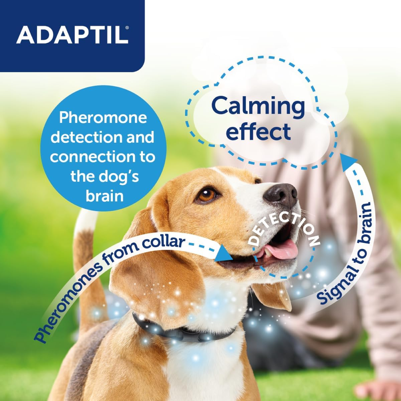 Adaptil Collar For Puppy/Small Dog