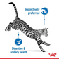Royal Canin Feline Pouch Indoor Sterilised In Gravy [85g X12]