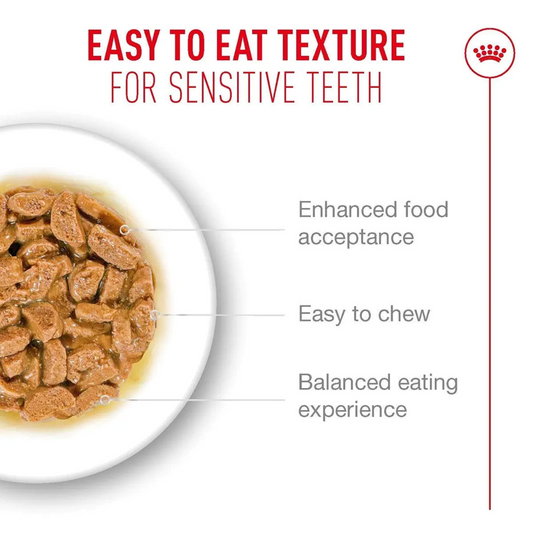Royal Canin Feline Pouch Ageing +11 In [85g x 12]