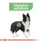 Royal Canin Canine Medium Digestive Care 3kg