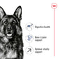 Royal Canin Canine Maxi Adult 5+ 15kg