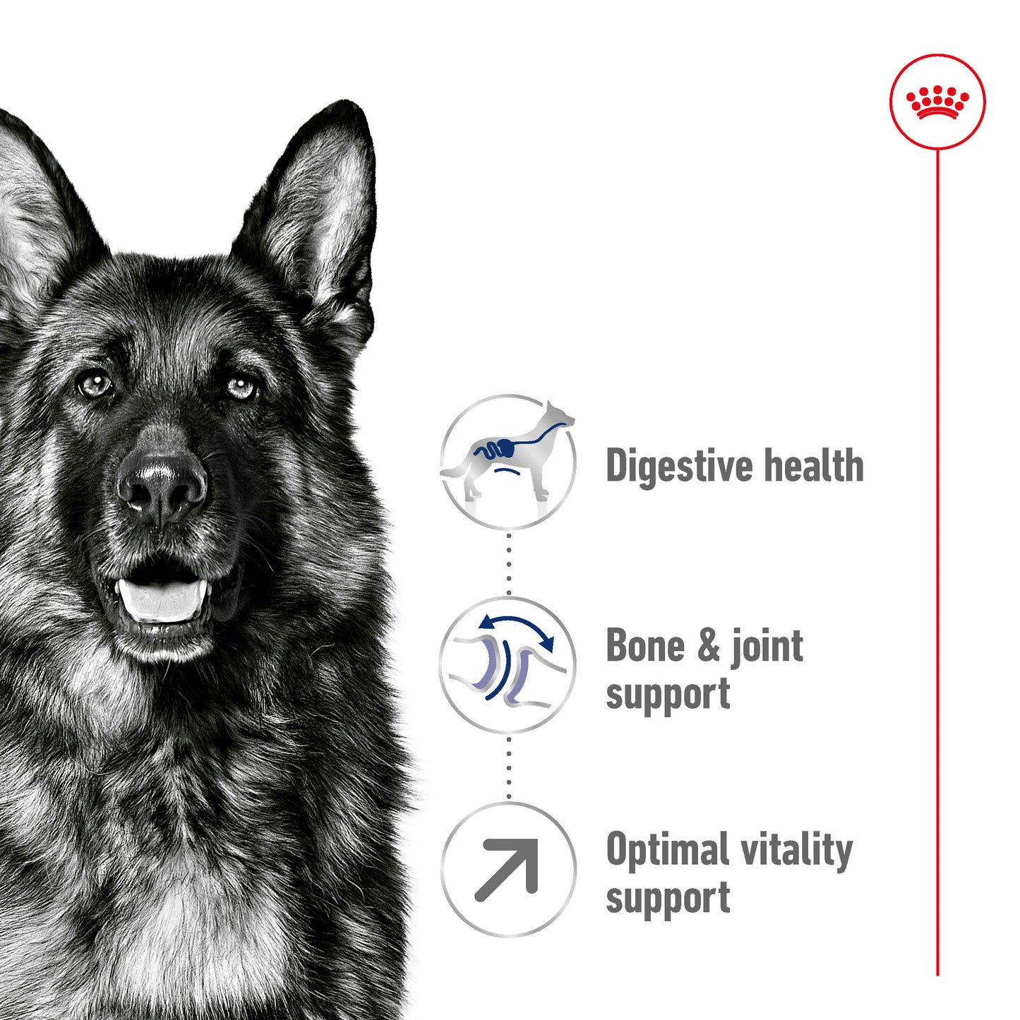 Royal Canin Canine Maxi Adult 5+ 15kg