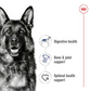 Royal Canin Canine Maxi Adult 10kg