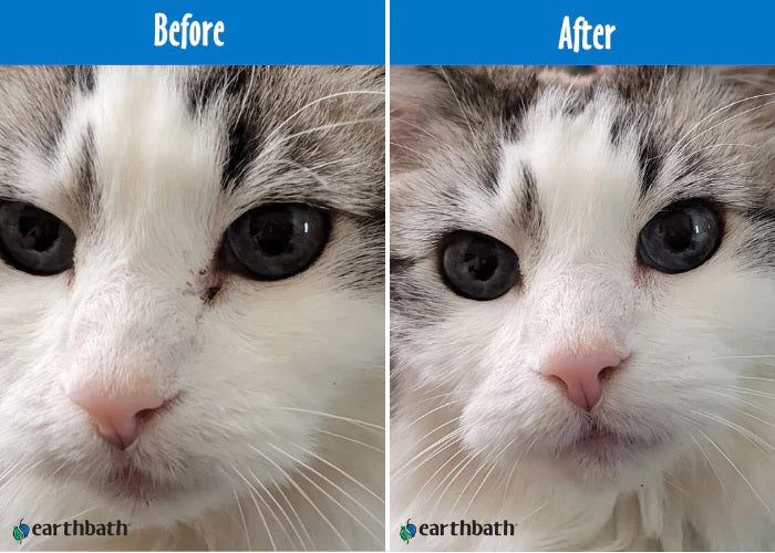 Earthbath Eye Wipes 30 pieces