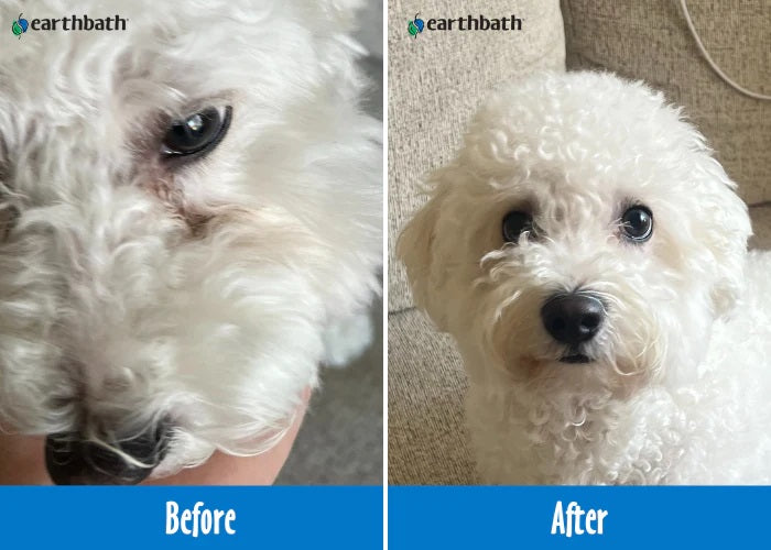 Earthbath Eye Wipes 30 pieces