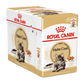 Royal Canin Feline Pouch Maine Coon Adult Chunks In Gravy [85g x 12]