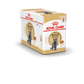 Royal Canin Feline Pouch British Shorthair Adult Chunks In Gravy [85g x 12]