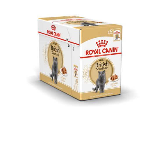 Royal Canin Feline Pouch British Shorthair Adult Chunks In Gravy [85g x 12]