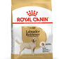 Royal Canin Canine Breed Labrador Retriever Adult 12kg