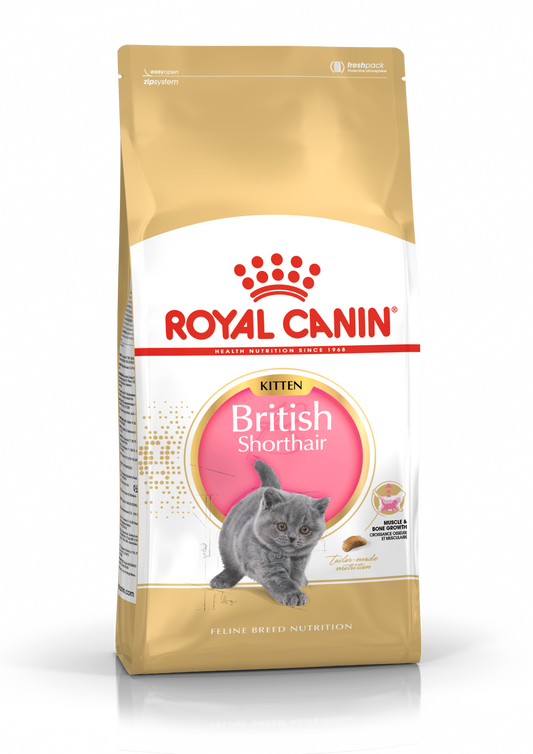 Royal Canin Feline British Shorthair Kitted 400g