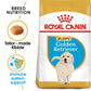 Royal Canin Canine Breed Golden Retriever Puppy 12kg