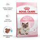 Royal Canin Feline Mother and Baby Cat 10kg (Stage 2)