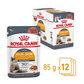 Royal Canin Feline Pouch Hair & Skin Care In Gravy [85g x 12]