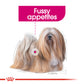 Royal Canin Canine Mini Exigent 1 kg