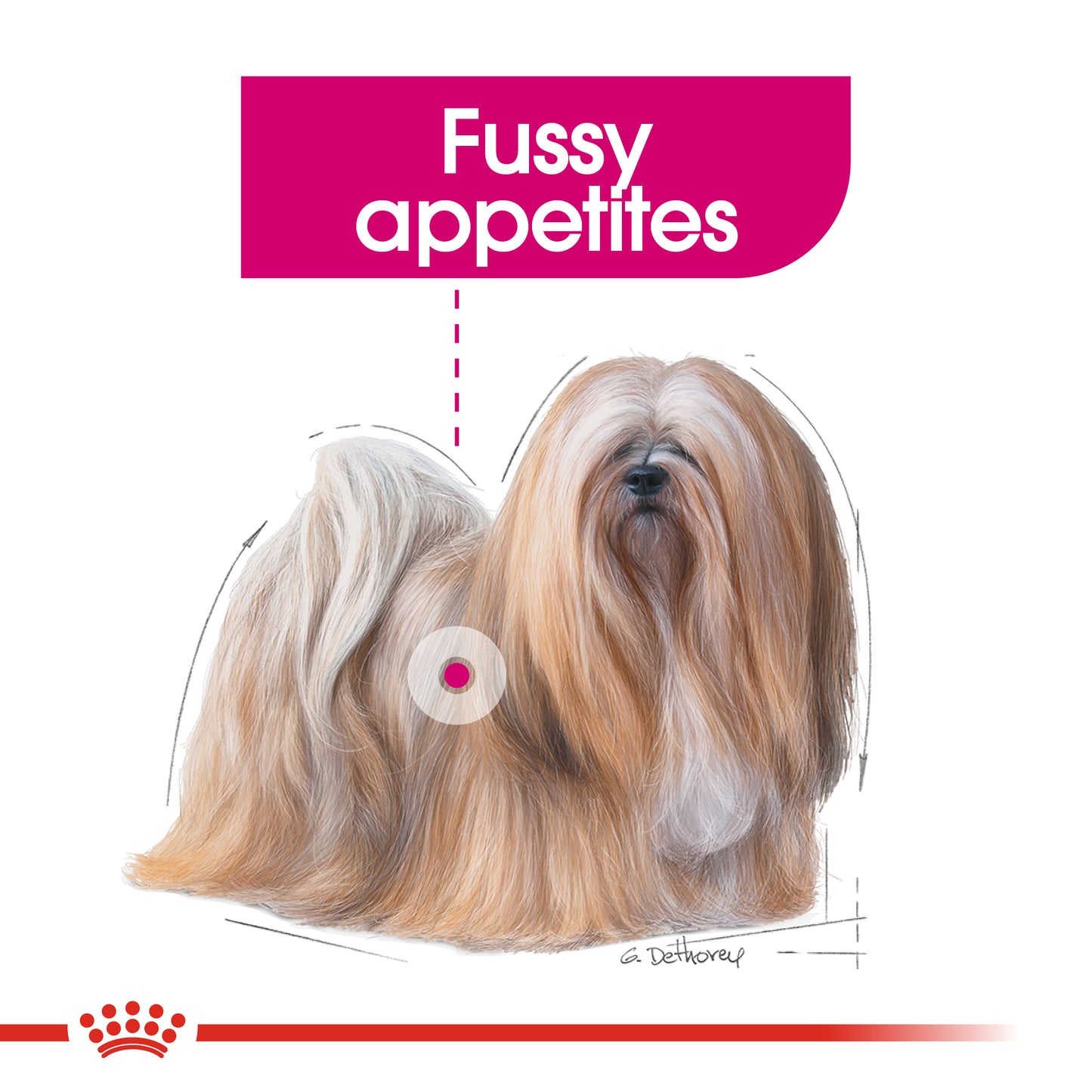 Royal Canin Canine Mini Exigent 1 kg