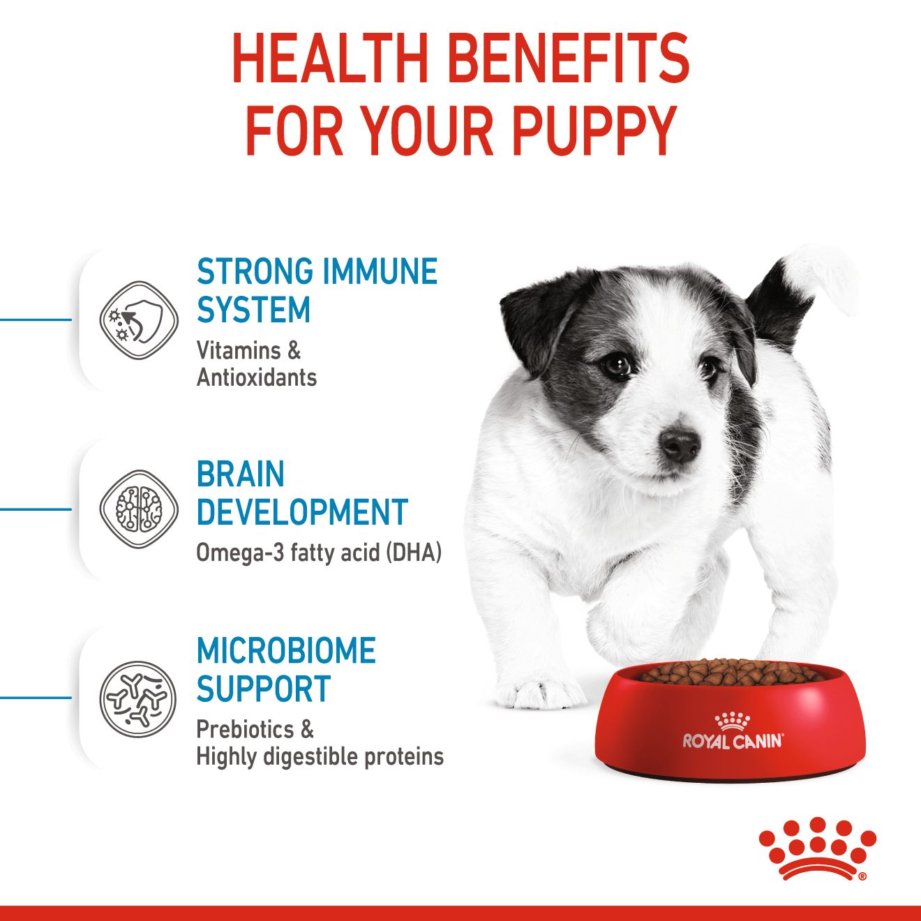 Royal Canin Mini Puppy 3rd Stage 2kg