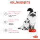 Royal Canin Feline Mother and Baby Cat 10kg (Stage 2)
