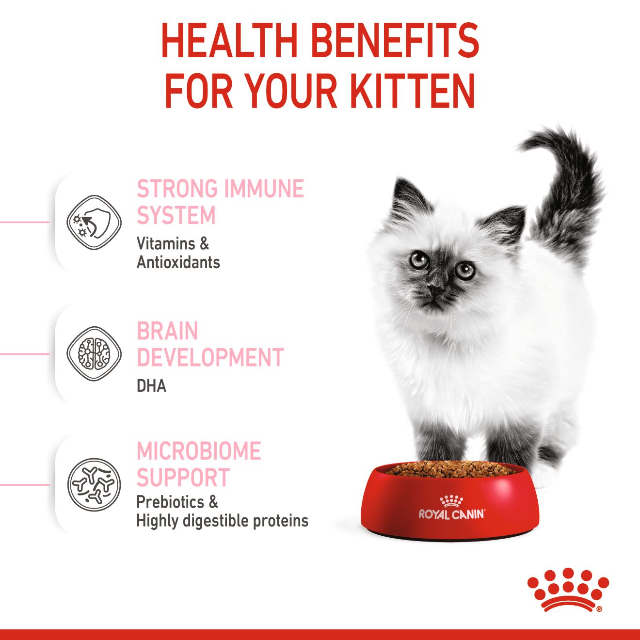 Royal Canin Feline Kitten 36 4kg