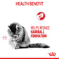Royal Canin Feline Hairball Care 2kg