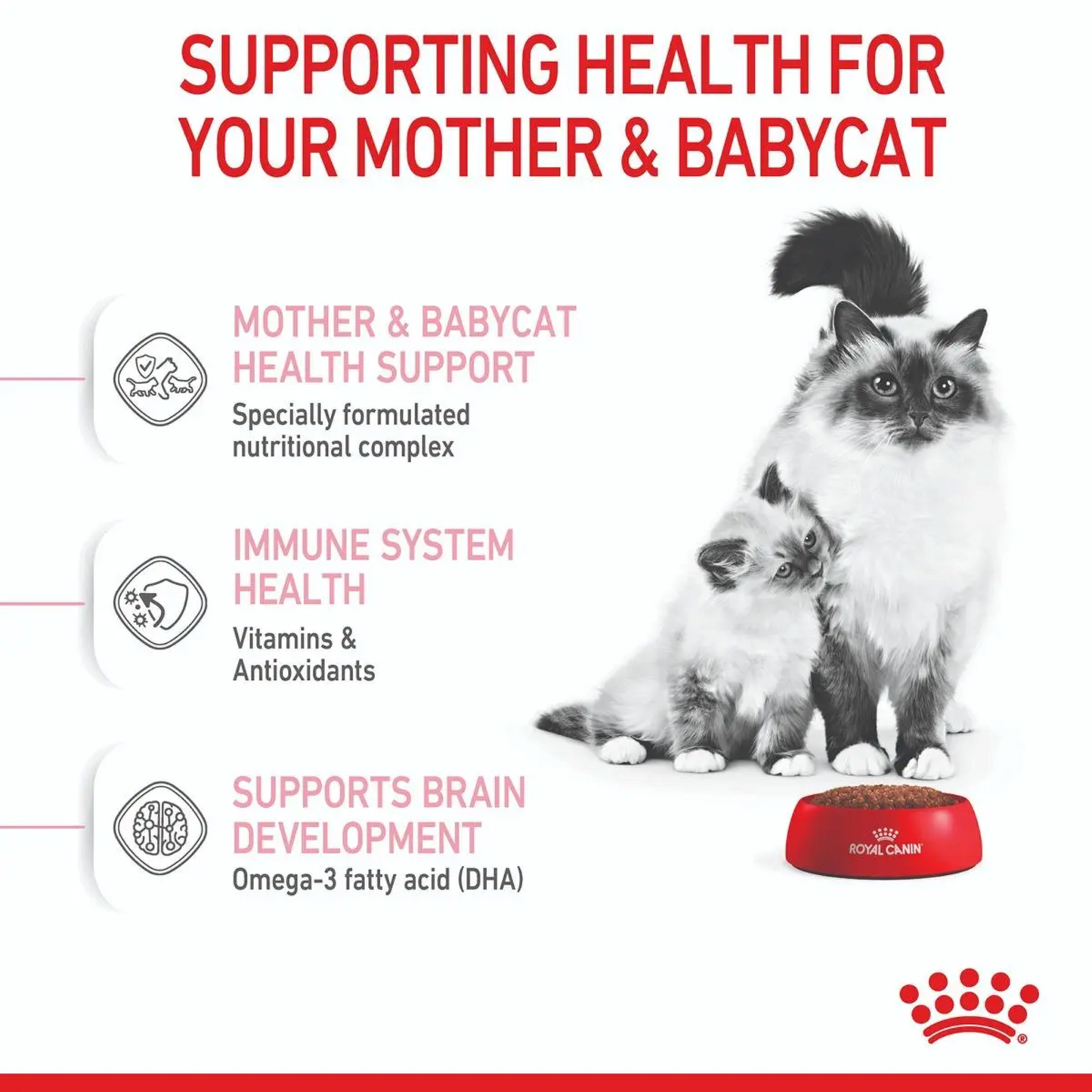 Royal Canin Feline Mother and Baby Cat 2kg (Stage 2)