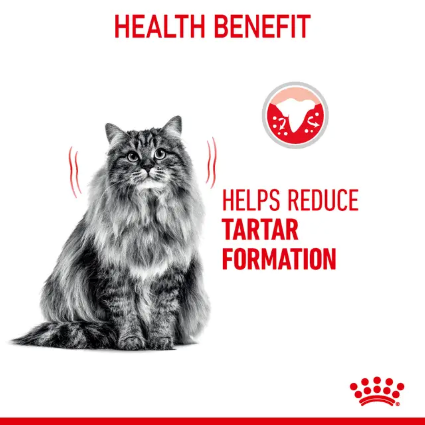 Royal Canin Feline Dental Care 1.5kg