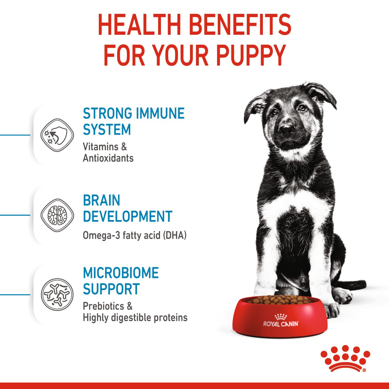 Royal Canin Canine Maxi Puppy 10kg