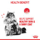 Royal Canin Feline Pouch Hair & Skin Care In Gravy [85g x 12]