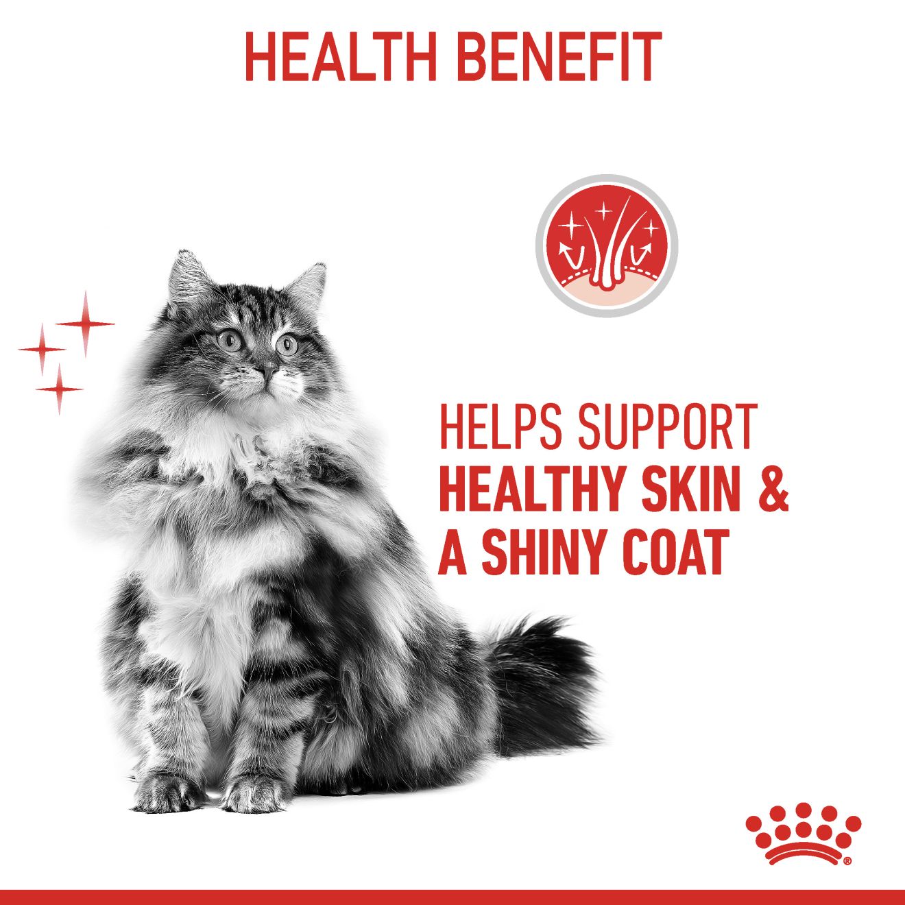 Royal Canin Feline Pouch Hair & Skin Care In Gravy [85g x 12]