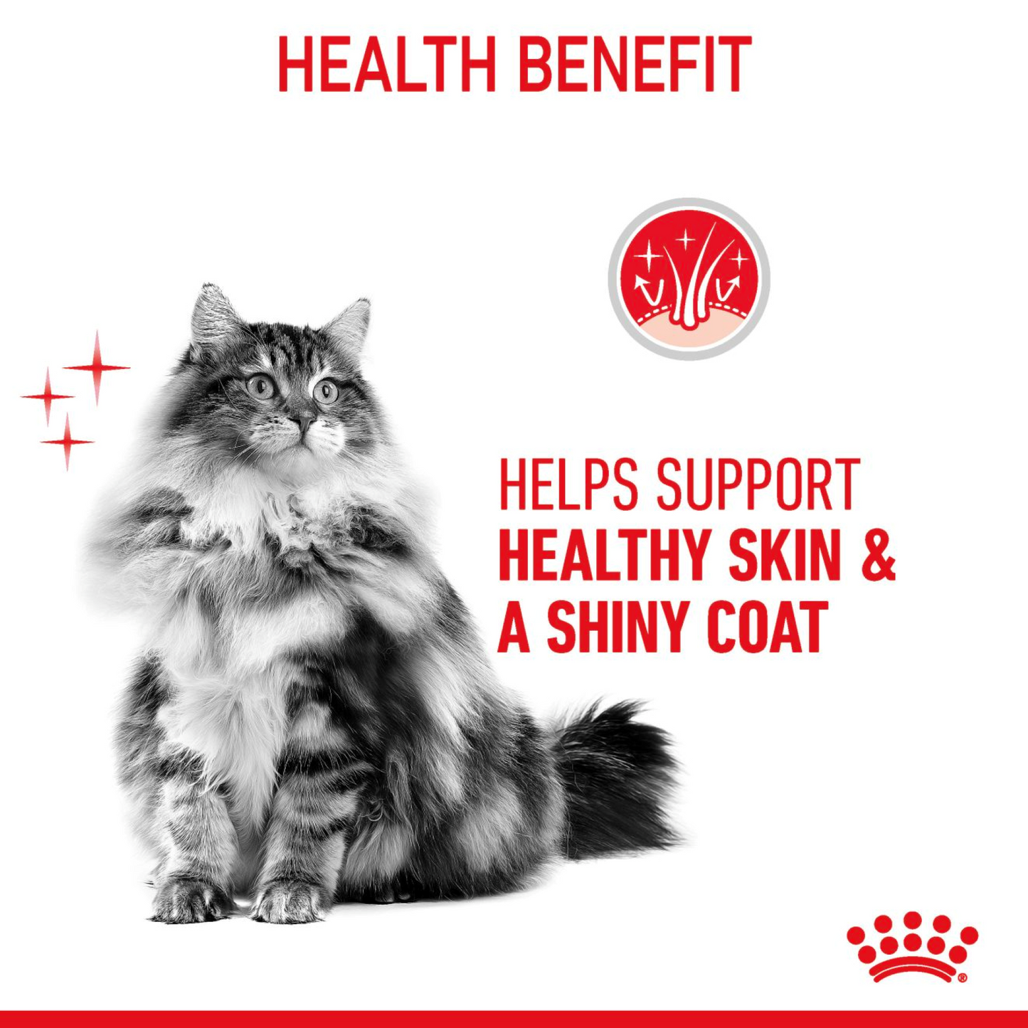 Royal Canin Feline Hair & Skin Care 2kg