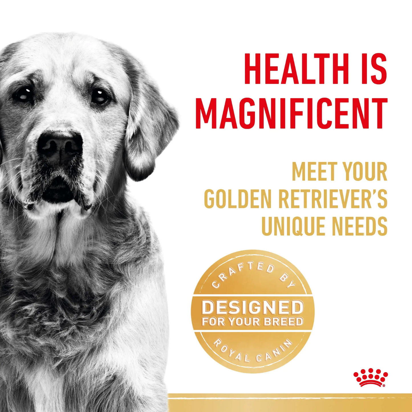 Royal Canin Canine Breed Golden Retriever Adult 3kg