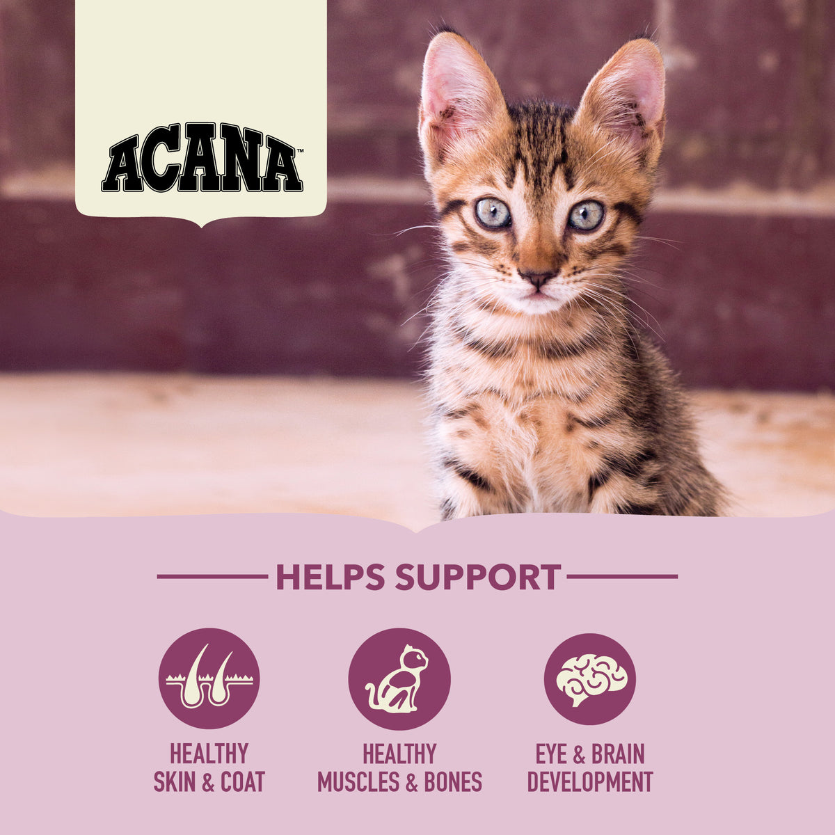 ACANA Cat Freeze-Dried Coated First Feast 1.8kg