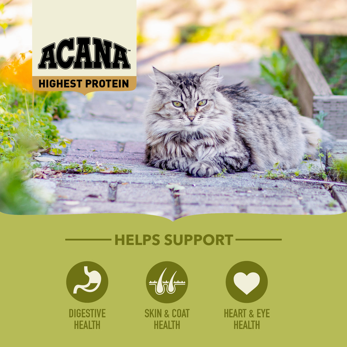 ACANA Cat Freeze-Dried Infused Grasslands 4.5kg