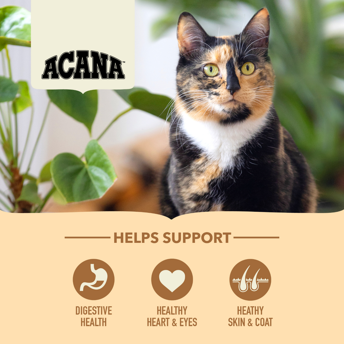 ACANA Cat Freeze-Dried Coated Homestead Harvest Cat 4.5kg