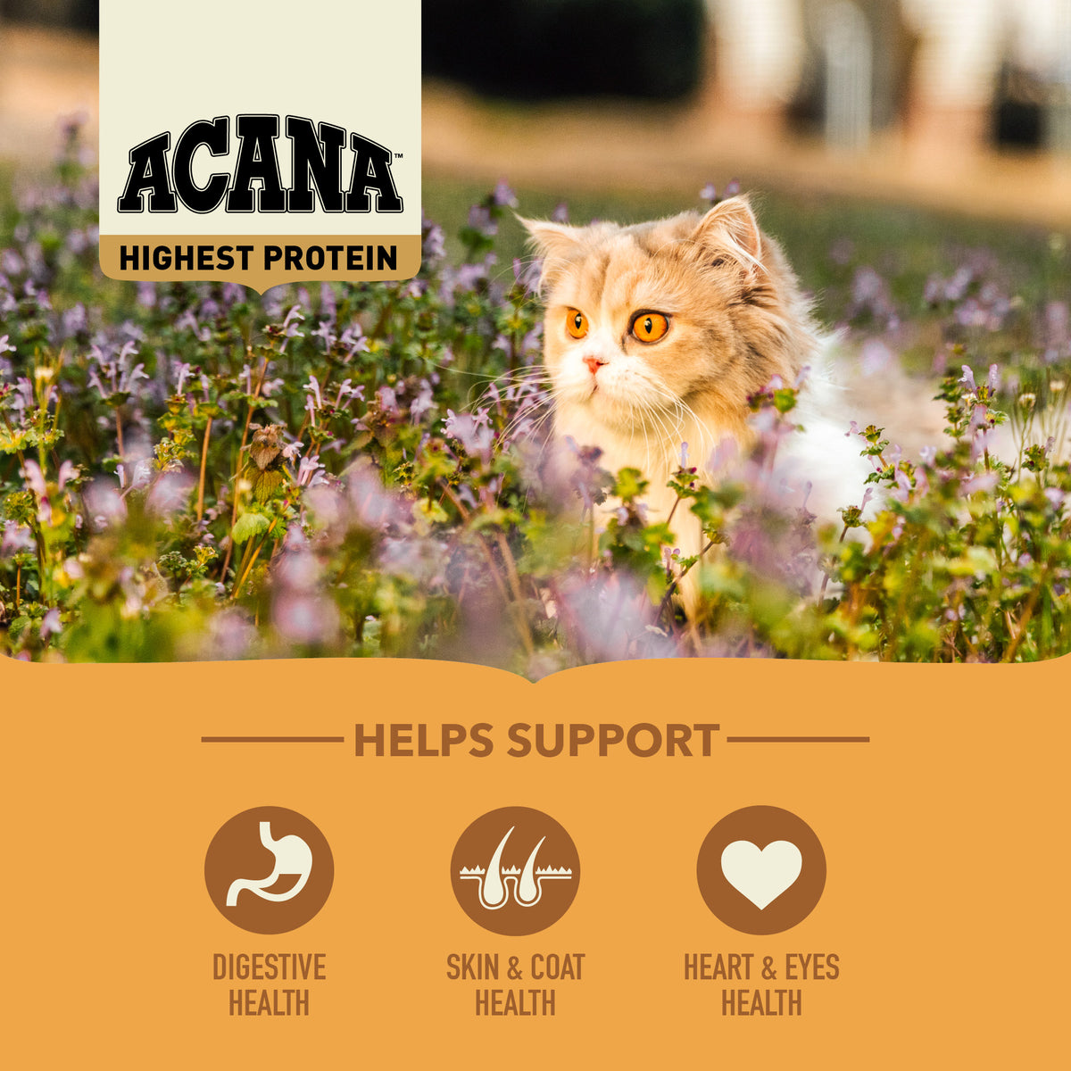 ACANA Cat Freeze-Dried Infused Wild Prairie 4.5kg