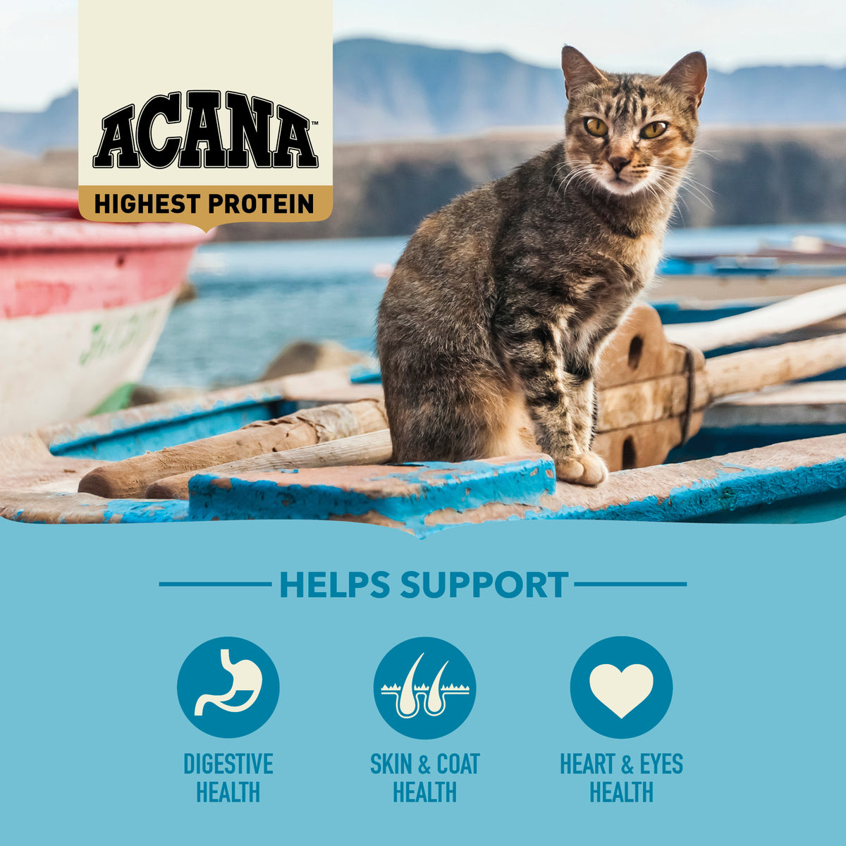 ACANA Cat Freeze-Dried Infused Pacifica Cat 1.8kg