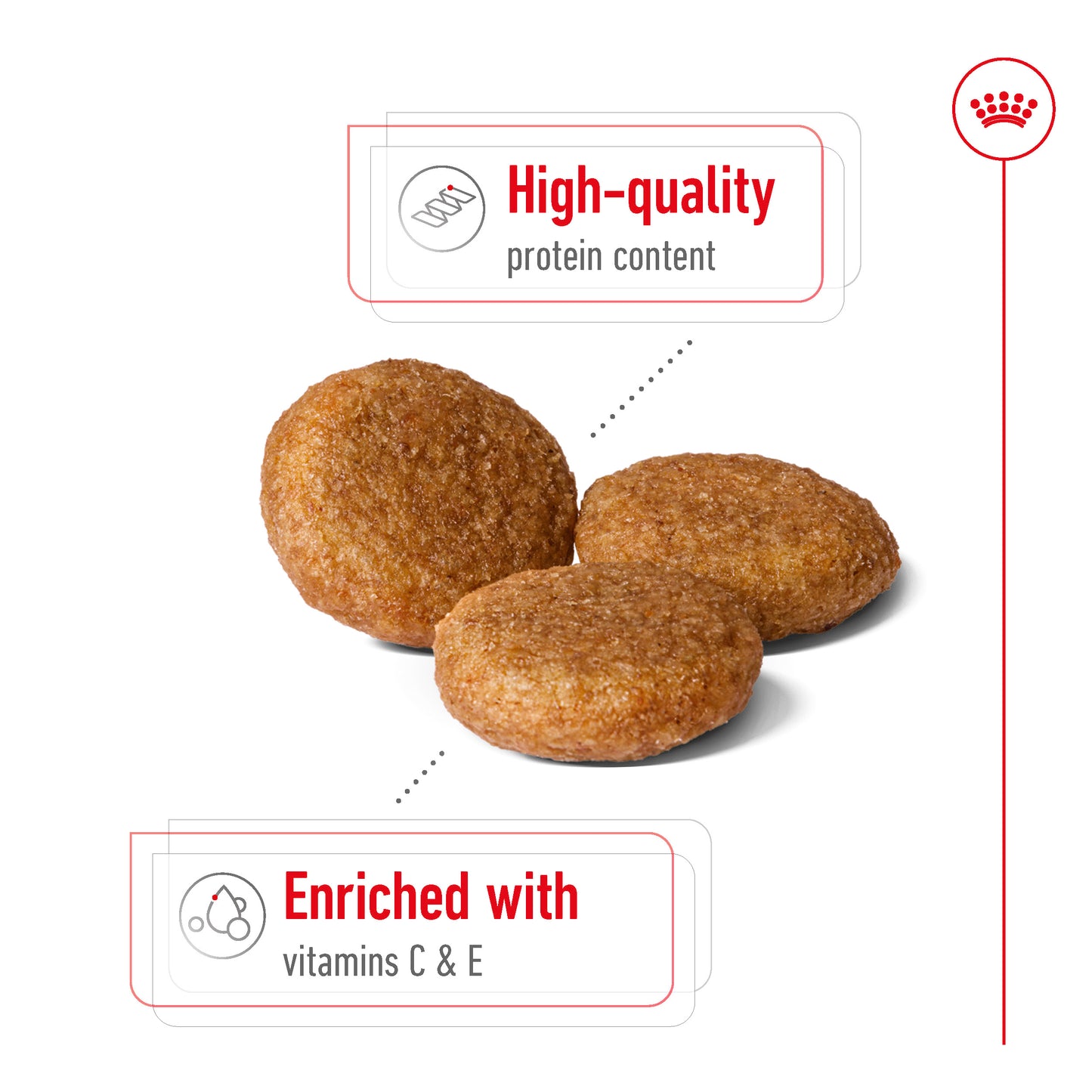 Royal Canin Canine Medium Adult 10kg