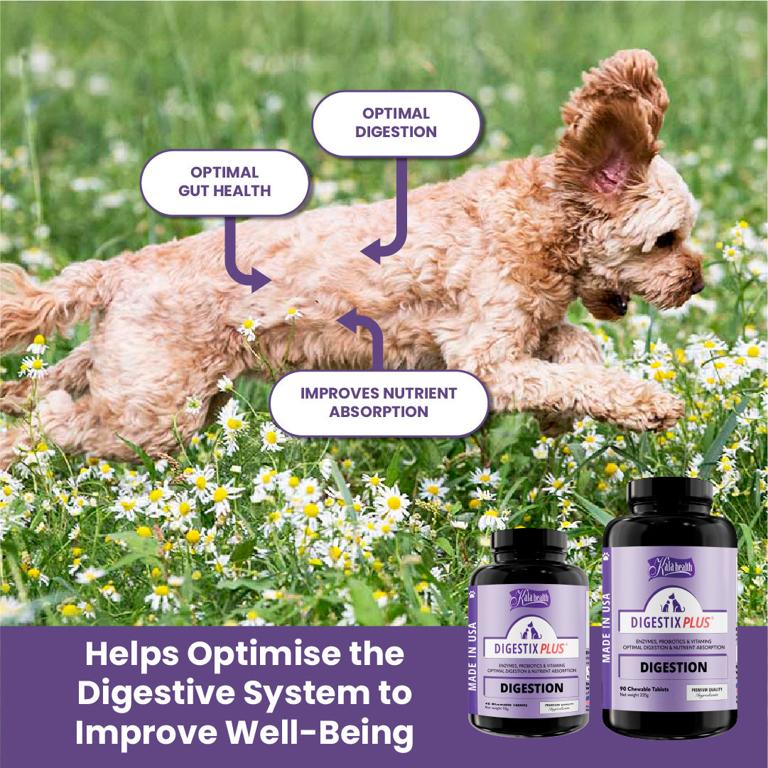 Kala Health Digestix Plus