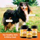 Kala Health Dermatrix 3 Sizes