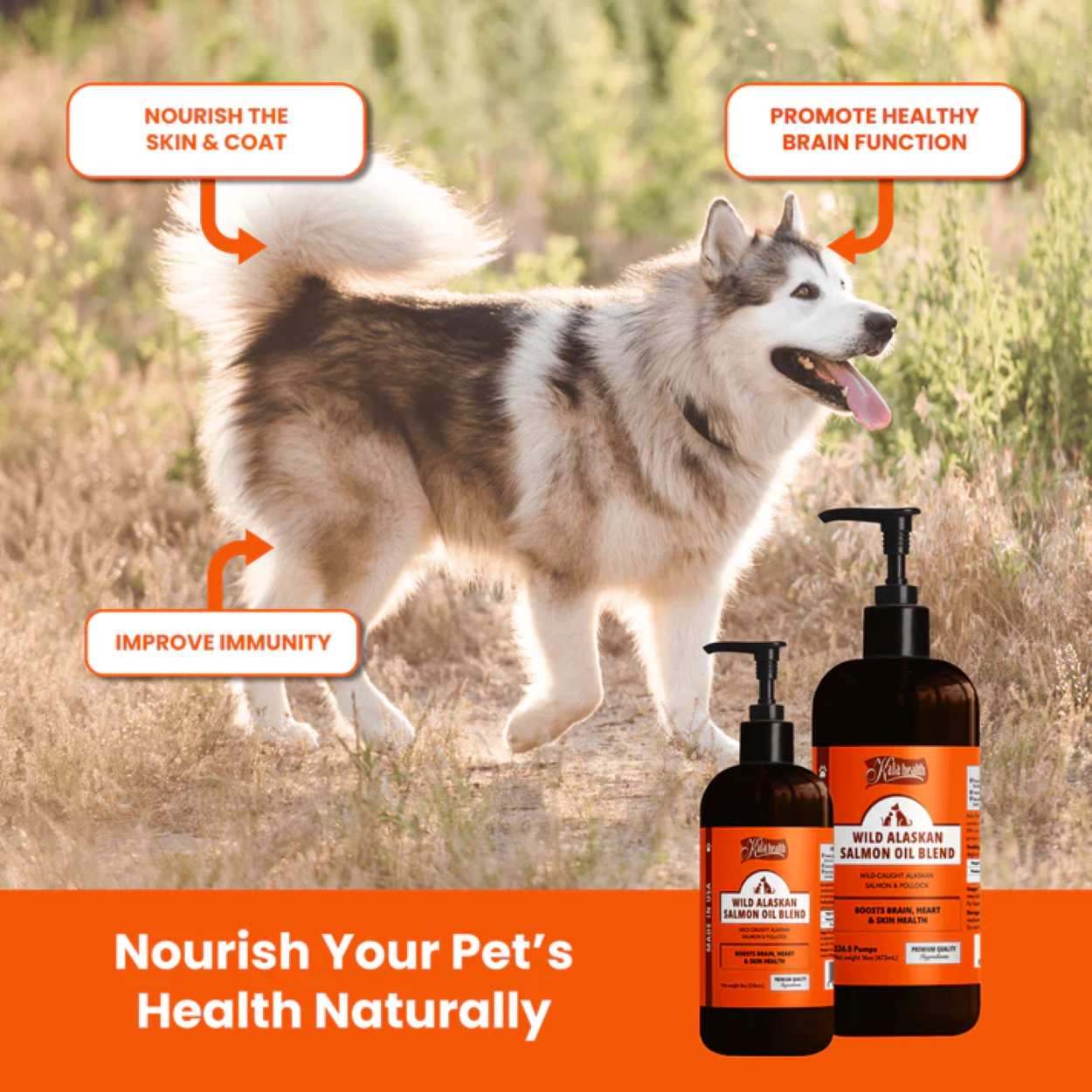Kala Health Wild Alaskan Salmon Blend Oil