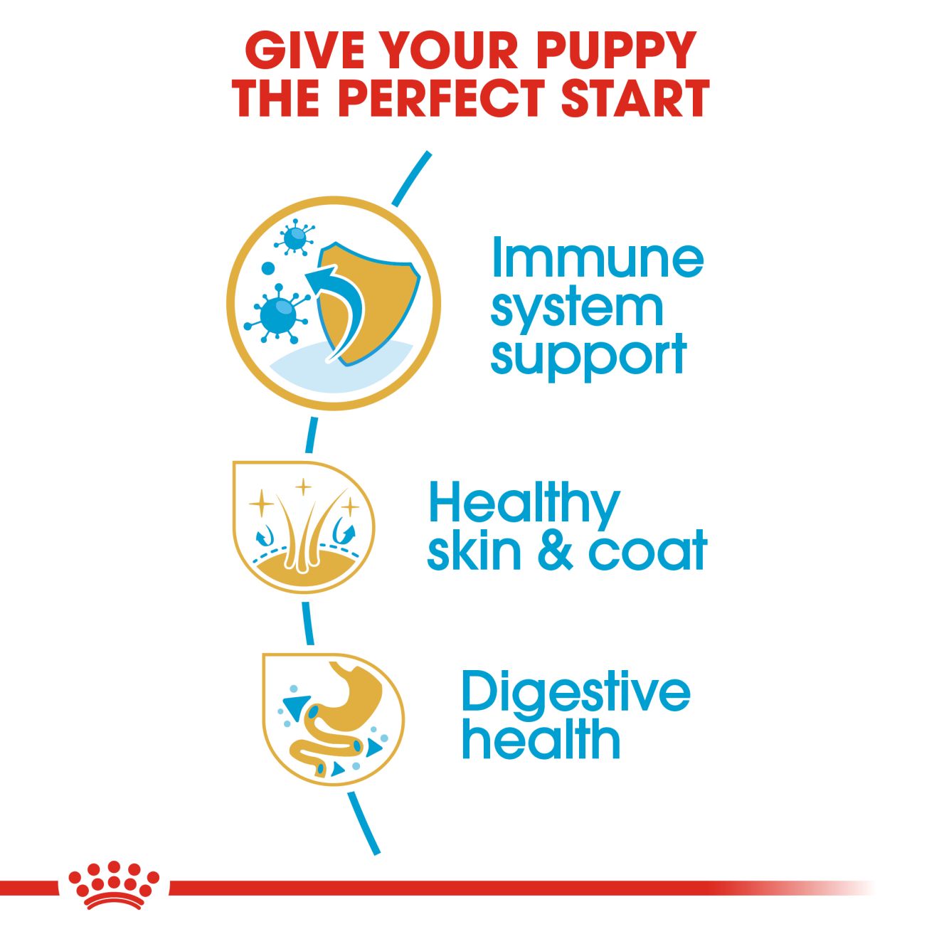 Royal Canin Canine Breed Golden Retriever Puppy 12kg