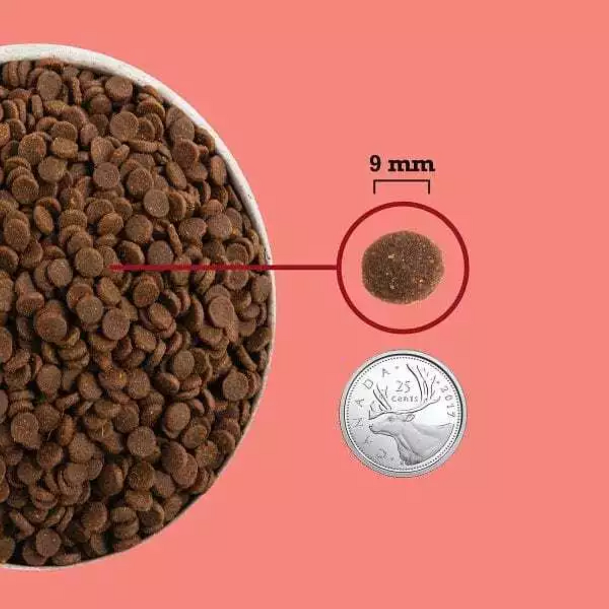ACANA Cat Freeze-Dried Coated Indoor 4.5kg