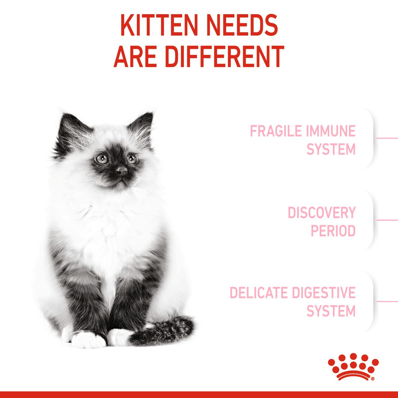 Royal Canin Feline Kitten 400g