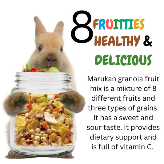 Marukan Granola Fruit Mix for Small Animals 180g (ML07)