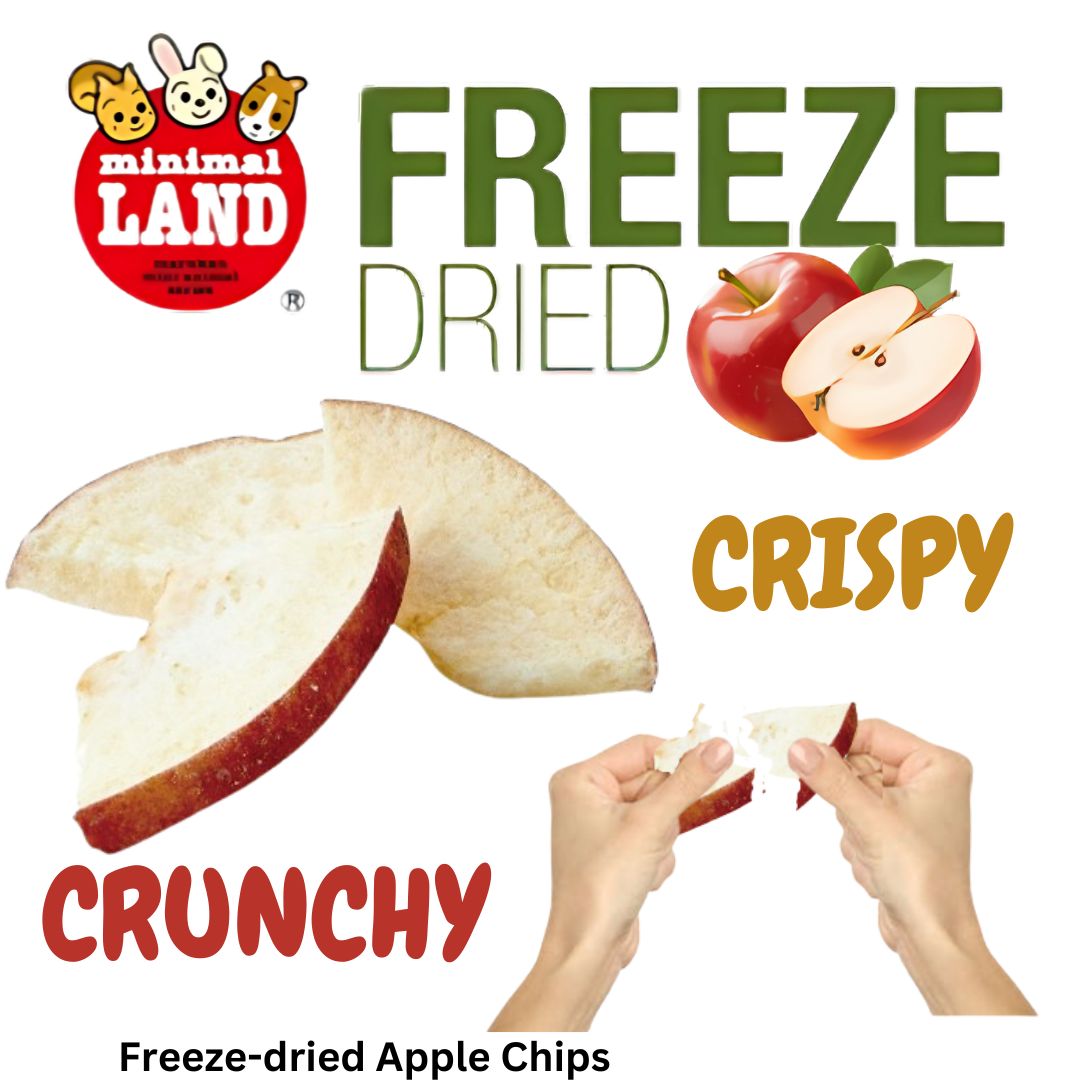 Marukan Freeze Dried Apple Value Pack for Small Animals 15g (ML213)