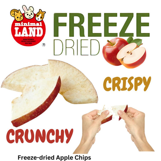 Marukan Freeze Dried Apple Value Pack for Small Animals 15g (ML213)