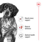 Royal Canin Canine Medium Adult 10kg