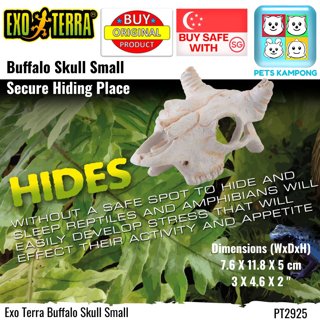 Exo Terra Buffalo Skull Small (PT2925)